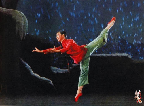 项目经理证怎么办